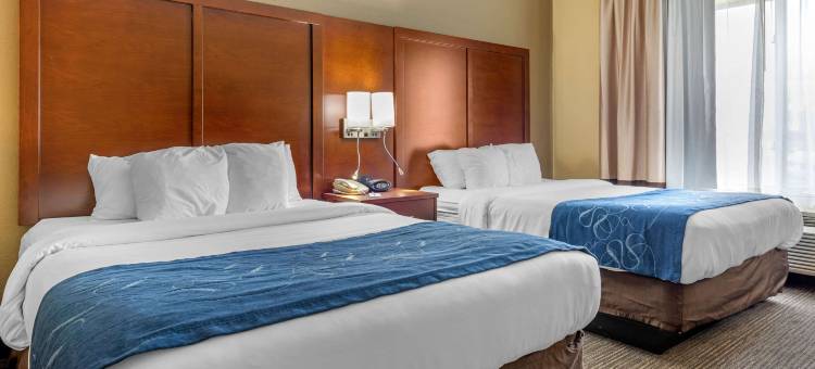 芬德利I-75舒适套房靠近体育综合体(Comfort Suites Findlay I-75 Near Sports Complex)图片