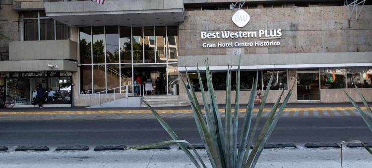 Best Western Plus Gran Hotel Centro Historico图片