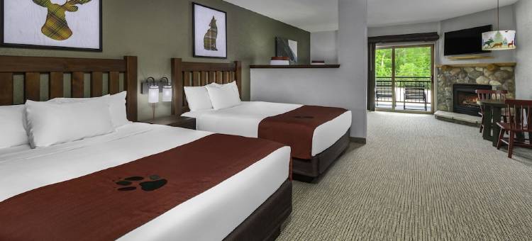 威廉斯堡大狼屋酒店(Great Wolf Lodge Williamsburg)图片