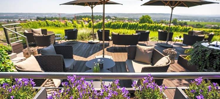 施瓦岑斯坦堡Relais & Châteaux酒店(Relais & Châteaux Hotel Burg Schwarzenstein)图片