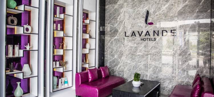 麗枫酒店(驻马店高铁西站店)图片