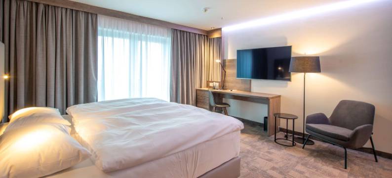 维斯马丽柏酒店(Park Inn by Radisson Wismar)图片