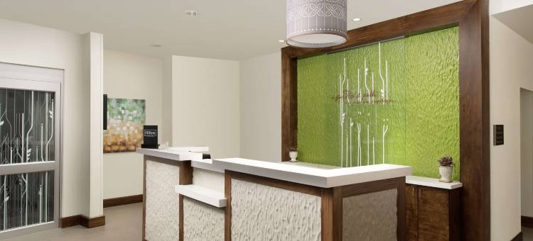 圣安东尼奥机场南希尔顿花园酒店(Hilton Garden Inn San Antonio Airport South, TX)图片