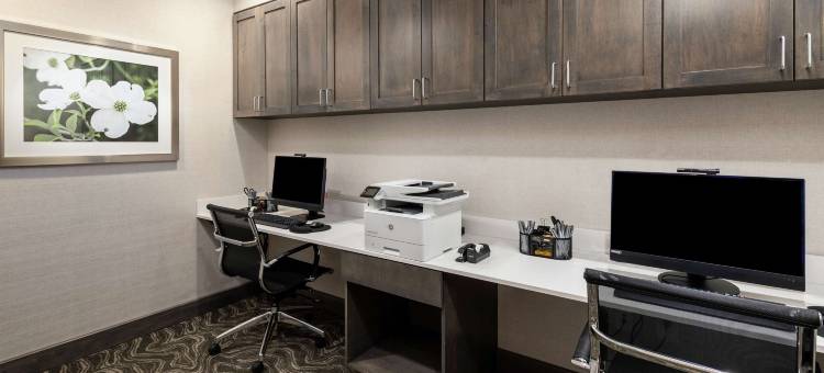 斯内尔维尔-亚特兰大东北希尔顿欢朋套房酒店(Hampton Inn & Suites Snellville Atlanta NE)图片