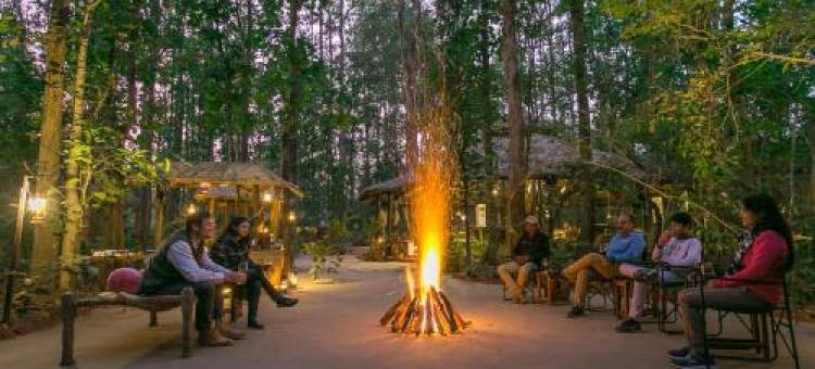 Kanha Jungle Lodge图片