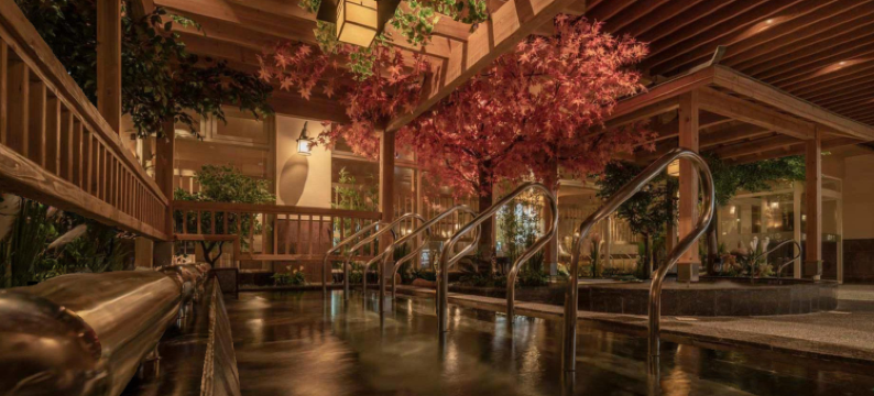 汤连得’多喜温泉酒店图片