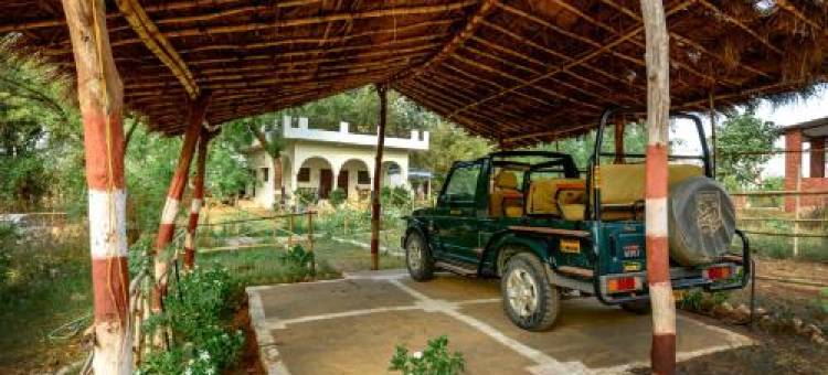 Aryan Camp - RiverView Farmstay, Panna Tiger Reserve, Madla图片