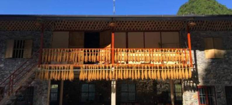 Yen Nhi Homestay Ban Gioc图片