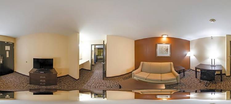 圣路易斯凯西维尔凯艺套房酒店(Quality Inn & Suites Caseyville - St. Louis)图片