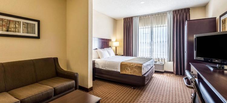 舒适套房酒店(Comfort Suites)图片