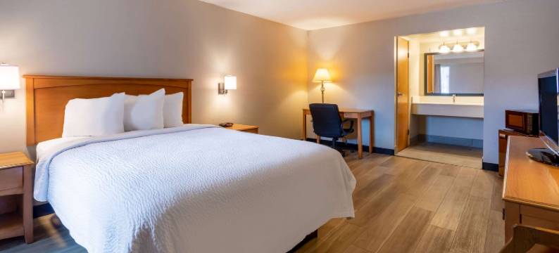 柏奇伦戴斯酒店(Days Inn Birch Run)图片