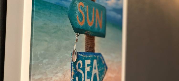 新河(New River)图片