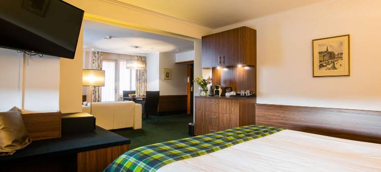 金色郁金香中心酒店(Golden Tulip Hotel Central)图片