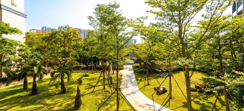 森系短租长租公寓(椰博路分店)图片