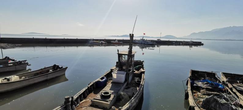 清婉居客栈(共建街分店)图片