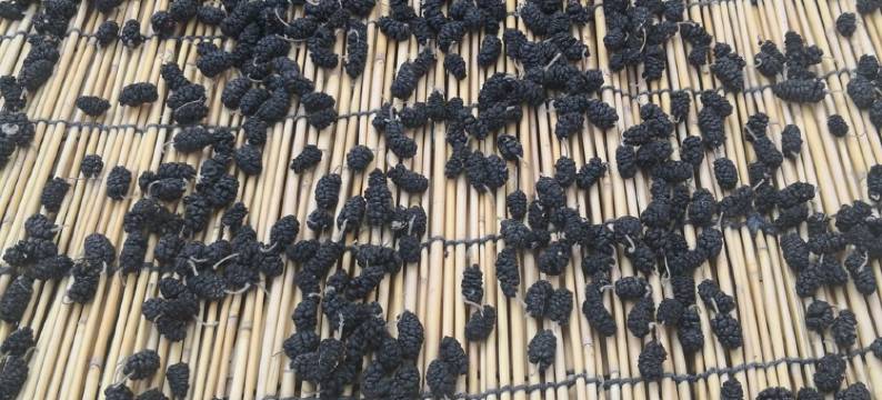 美的民宿(永济西路分店)图片