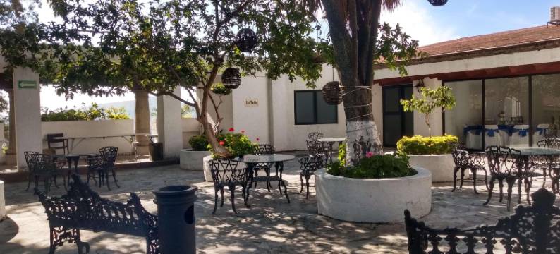 塔帕提欧瓜达拉哈拉丽笙酒店(Radisson Tapatio Guadalajara)图片