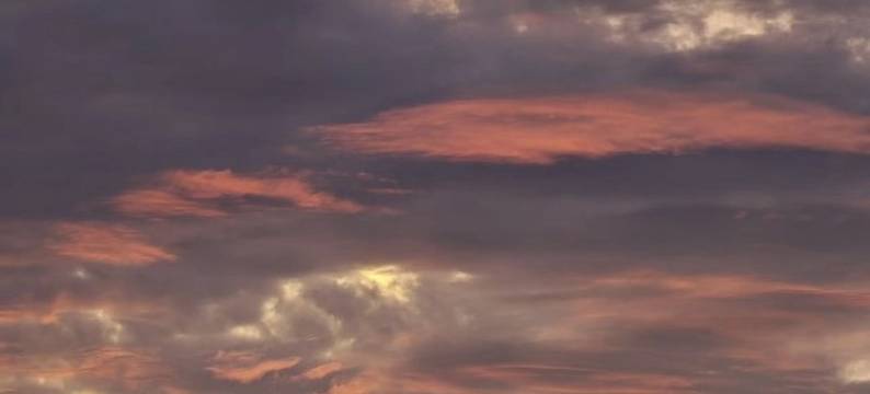 法桐公寓(汀目路分店)图片