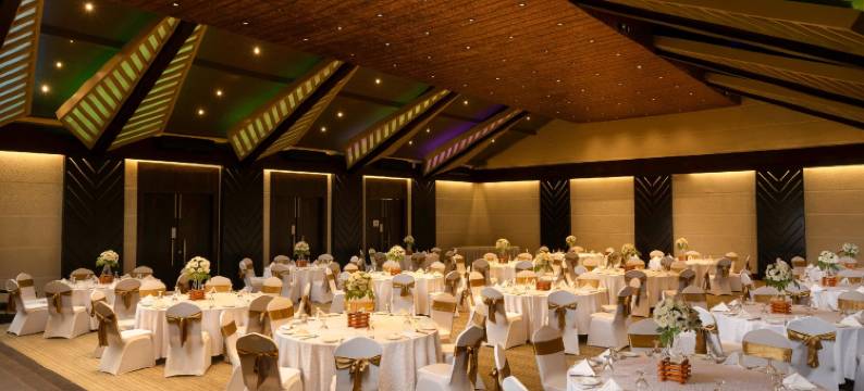 罗望子树酒店(Tamarind Tree Garden Resort - Katunayake)图片