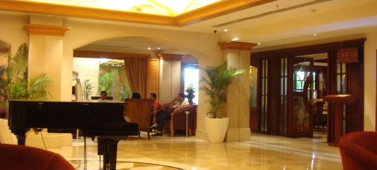 棕榈树林温德姆华美达广场酒店(Ramada Plaza by Wyndham Palm Grove)图片