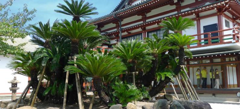 Base东界市公寓式酒店(The Base Sakai Higashi Apartment Hotel)图片