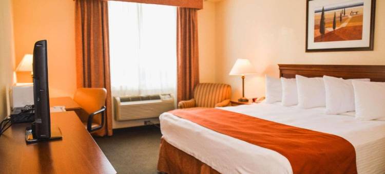 伦敦南丽怡酒店(Country Inn & Suites by Radisson, London South, on)图片