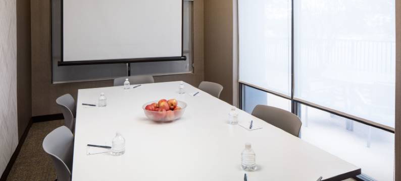 萨凡纳机场万豪SpringHill酒店(SpringHill Suites Savannah Airport)图片