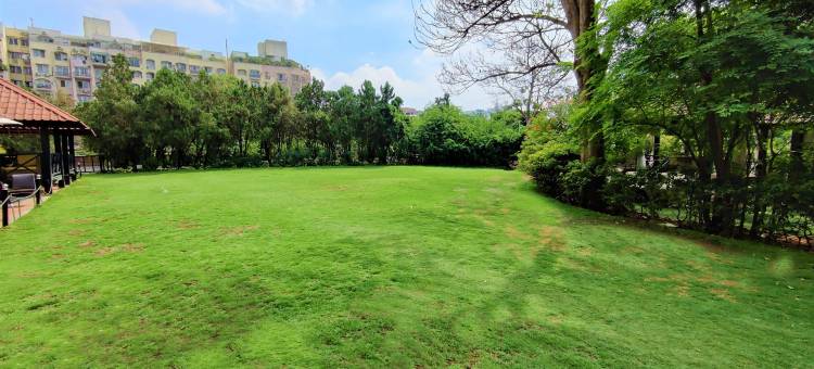 皇家班加罗尔兰花酒店(Hotel Royal Orchid Bangalore)图片