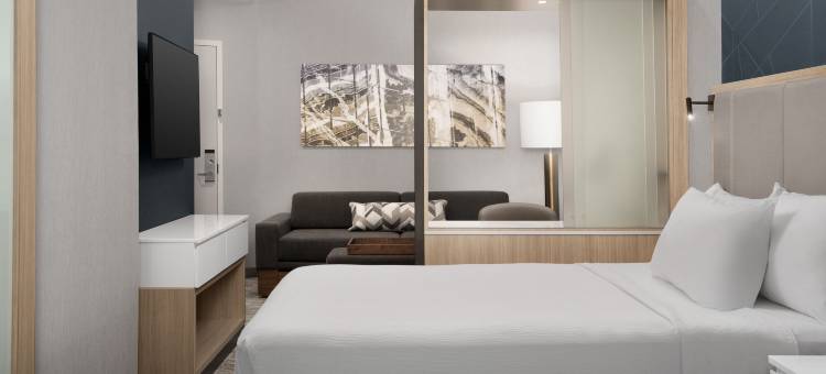 费耶特维尔 I 95万豪春丘酒店(SpringHill Suites Fayetteville I 95)图片