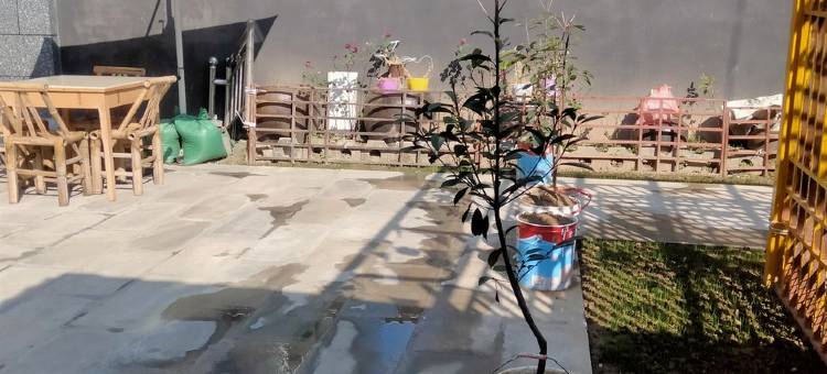 乡村体验生活馆度假别墅(蔡正段分店)图片