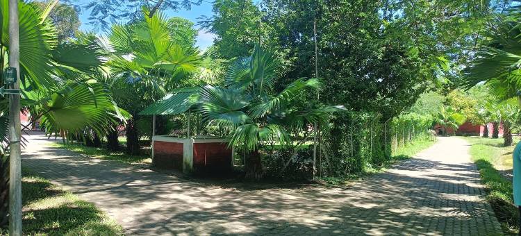 奇亚籽度假村(Chai Seeds Resort)图片