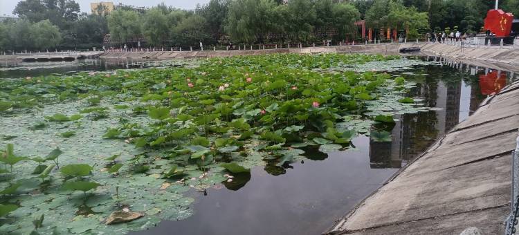 金厚日租房公寓(南京路1号分店)图片