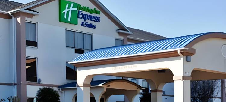 桑福德智选假日套房酒店(Holiday Inn Express & Suites Sanford)图片