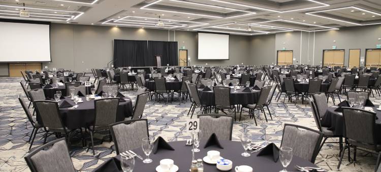 洲际酒店集团锡达福尔斯假日酒店及套房 - 滑铁卢活动中心(Holiday Inn & Suites Cedar Falls-Waterloo Event Ctr)图片