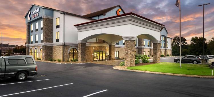 杰克逊I-40舒适套房酒店(Comfort Suites Jackson I-40)图片