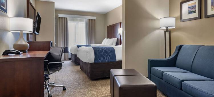 佩尔城靠近洛根马丁湖的康福特套房(Comfort Suites Pell City Near Logan Martin Lake)图片