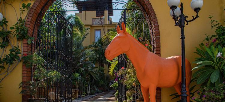 拉哈西恩德套房酒店(Suites la Hacienda)图片