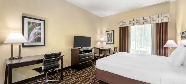 维克特贝斯特韦斯特优质套房酒店(Best Western Plus Victor Inn  Suites)图片