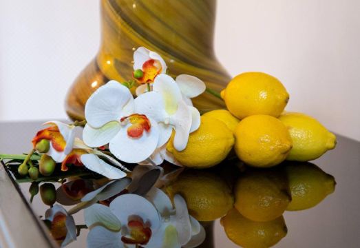 Room Vittorio - Palazzo Sottil Hotel Overview