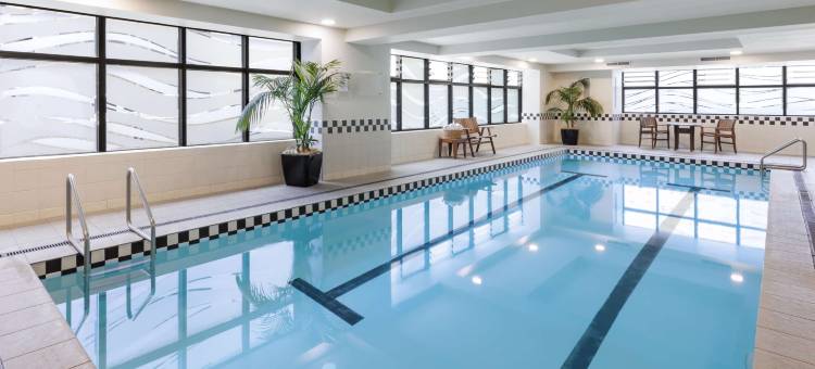 奥克兰阿迪娜城市生活酒店(Adina CityLife Auckland)图片