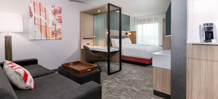马里奥特拉克兰SpringHill套房(SpringHill Suites Lakeland)图片