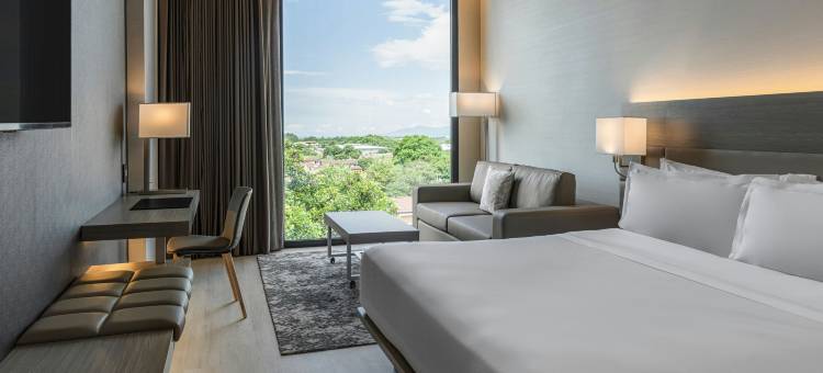 AC旧金山荷塞机场贝伦酒店(AC Hotel San Jose Airport Belen)图片