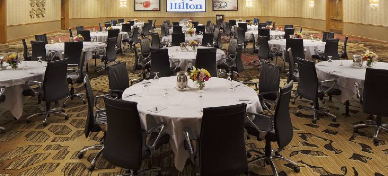 芝加哥奥黑尔罗斯蒙特希尔顿酒店(Hilton Rosemont Chicago O'Hare)图片