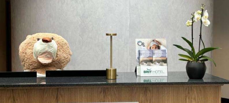 巴黎 - 罗斯尼的Brit Hotel Privilège(Brit Hotel Privilège Paris Rosny-Sous-Bois)图片