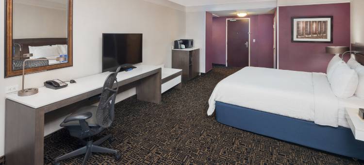 蒙特利尔中心希尔顿花园酒店(Hilton Garden Inn Montreal Centre-Ville)图片