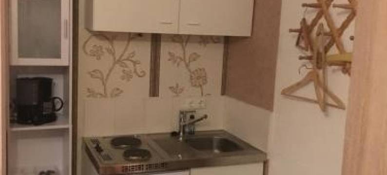 Appartement am Skihang Altastenberg 1 km Zum Skikarusell Winterberg图片