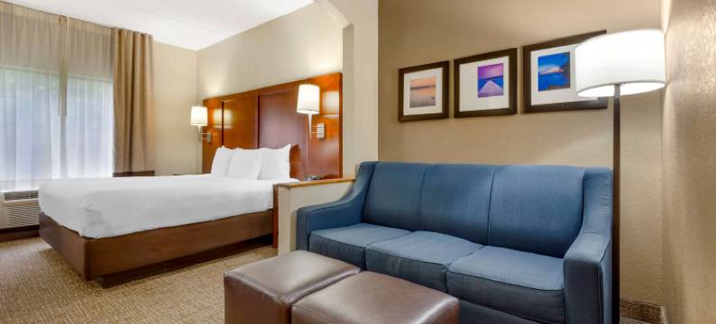 摄政公园舒适套房酒店(Comfort Suites Regency Park)图片