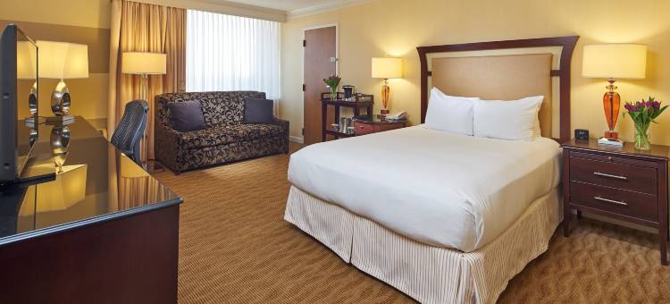 罗利北山希尔顿酒店(Hilton Raleigh North Hills)图片