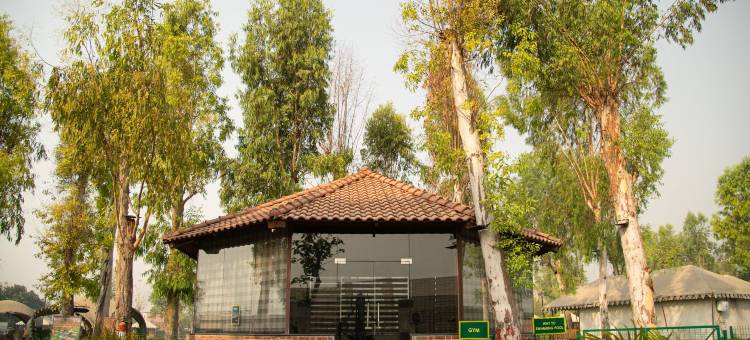 菠罗奈斯的Om Vilas Benares(Om Vilas Benares, Varanasi)图片