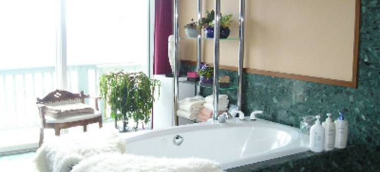 卡普陶普住宿加早餐旅馆(Coppertoppe Inn & Retreat Center)图片